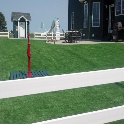 Grass Carpet Palm Springs, California City Landscape, Front Yard Ideas