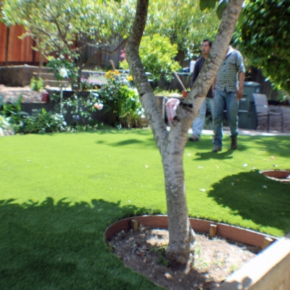 Grass Carpet Temecula, California Home And Garden, Small Backyard Ideas