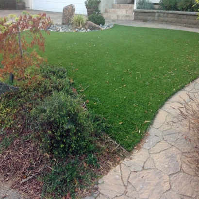 Grass Carpet Temecula, California Pet Grass, Small Backyard Ideas