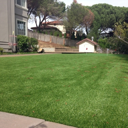 Grass Installation Ripley, California Landscape Ideas, Backyard Design