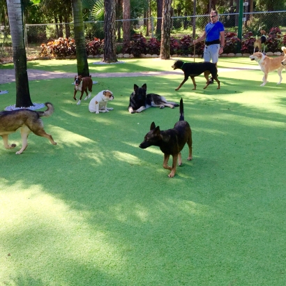 Grass Installation Winchester, California Pet Turf, Dog Kennels