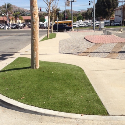 Grass Turf Alpine Village, California Landscape Photos, Commercial Landscape