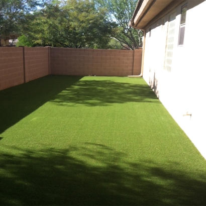 Grass Turf Canyon Lake, California Backyard Playground, Front Yard Landscaping Ideas