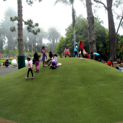 Grass Turf Idyllwild-Pine Cove, California Landscaping, Recreational Areas