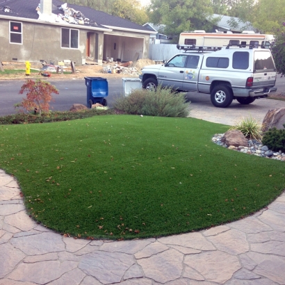 Grass Turf Indian Wells, California Design Ideas, Front Yard Landscaping Ideas