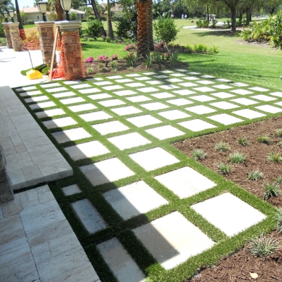 Grass Turf Mira Loma, California Landscape Design, Backyard Design