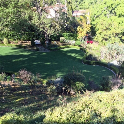 Grass Turf Mira Loma, California City Landscape, Backyard Ideas