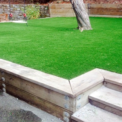 Grass Turf Mountain Center, California Lawns, Backyard Ideas