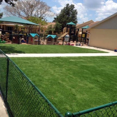 Grass Turf Pedley, California Lawn And Landscape, Commercial Landscape