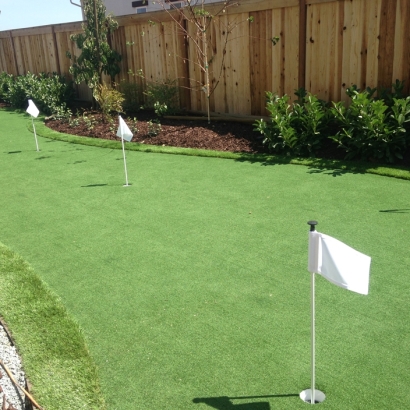 Grass Turf Quail Valley, California Home Putting Green, Backyard Landscape Ideas