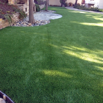 Green Lawn Palm Desert, California Dog Grass, Backyard Design