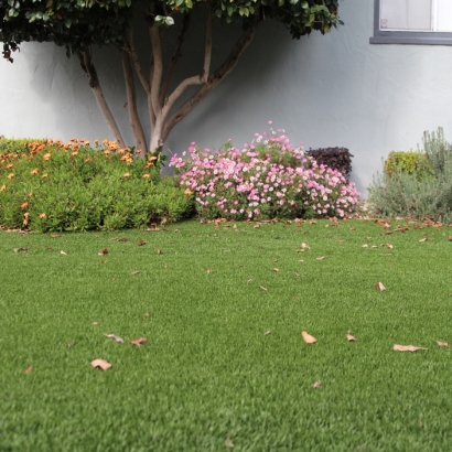 Green Lawn Perris, California Landscape Ideas, Front Yard