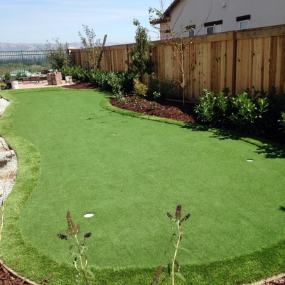 Green Lawn Ripley, California Roof Top, Backyard Garden Ideas