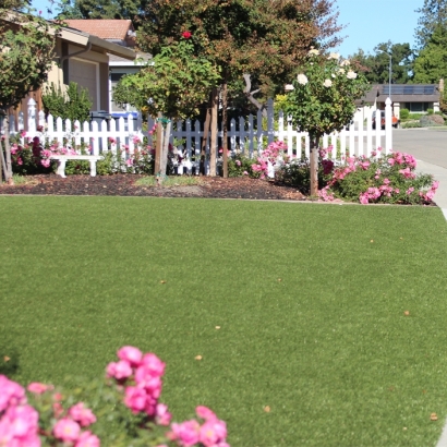 Installing Artificial Grass Idyllwild, California Gardeners, Landscaping Ideas For Front Yard