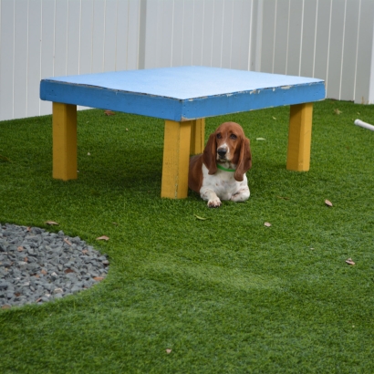 Installing Artificial Grass Indio, California Dog Park, Grass for Dogs
