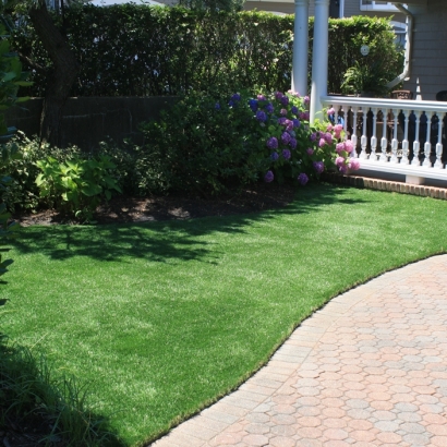 Installing Artificial Grass Sedco Hills, California Dog Parks, Front Yard Landscaping