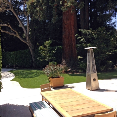 Outdoor Carpet Good Hope, California Home And Garden, Backyard Ideas