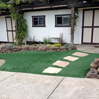 Outdoor Carpet Green Acres, California Landscape Design, Front Yard Landscape Ideas