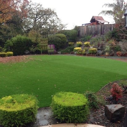 Outdoor Carpet Idyllwild, California Backyard Deck Ideas, Backyard