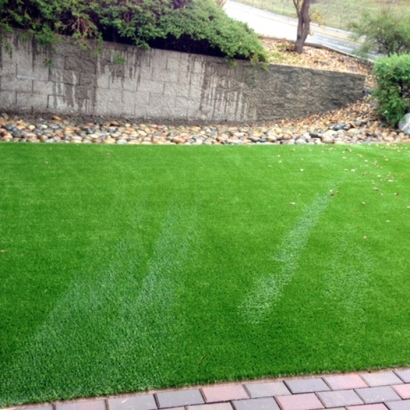 Outdoor Carpet Mountain Center, California Landscaping Business, Front Yard Landscaping Ideas