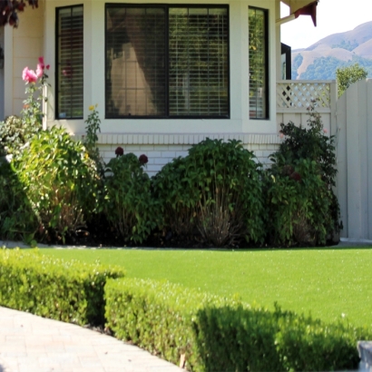 Outdoor Carpet Murrieta, California Gardeners, Front Yard Ideas