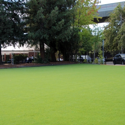 Outdoor Carpet Murrieta, California Lawns, Commercial Landscape