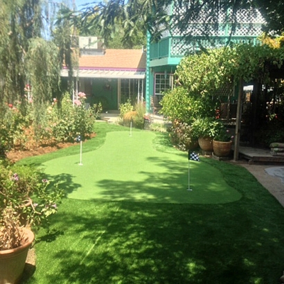 Plastic Grass Aguanga, California Lawn And Garden