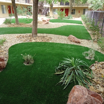 Plastic Grass Corona, California Lawns, Commercial Landscape