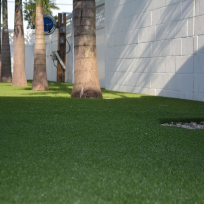 Plastic Grass Idyllwild, California Backyard Deck Ideas, Commercial Landscape