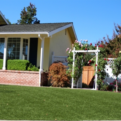 Plastic Grass Menifee, California Landscape Ideas, Front Yard Ideas
