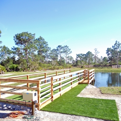 Plastic Grass Rubidoux, California Lawn And Garden, Backyard Landscape Ideas