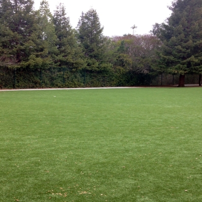 Plastic Grass Sky Valley, California Design Ideas, Recreational Areas