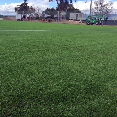 Synthetic Grass Bermuda Dunes, California Sports Turf