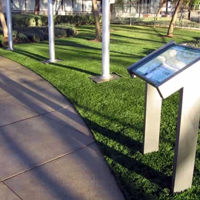 Synthetic Grass Cathedral City, California Rooftop, Recreational Areas