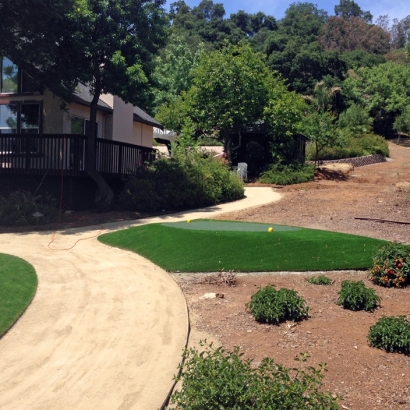 Synthetic Grass Cost Idyllwild-Pine Cove, California Lawn And Garden, Landscaping Ideas For Front Yard