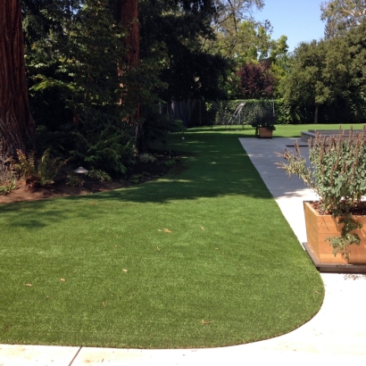 Synthetic Grass Cost Romoland, California Dog Park, Landscaping Ideas For Front Yard