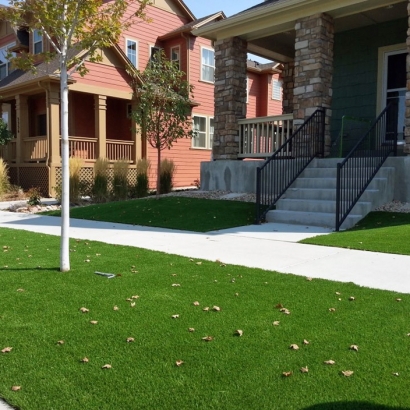 Synthetic Grass Cost San Jacinto, California Paver Patio, Front Yard