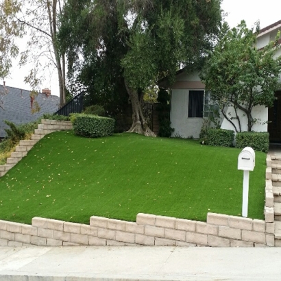 Synthetic Grass Cost Winchester, California Landscaping Business, Front Yard Landscaping Ideas