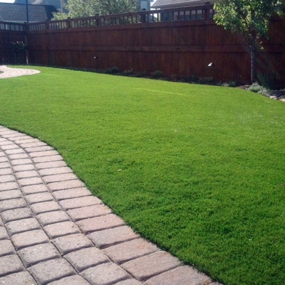 Synthetic Grass Desert Hot Springs, California Landscape Design, Backyard Garden Ideas