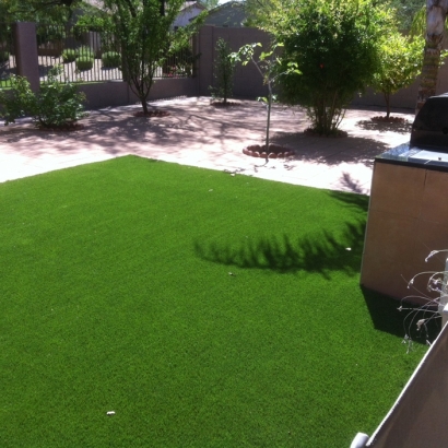 Synthetic Grass El Cerrito, California Cat Grass, Backyard Landscaping