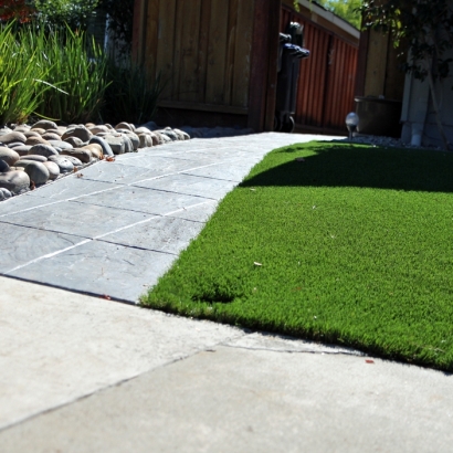 Synthetic Grass Palm Desert, California Rooftop, Front Yard Design
