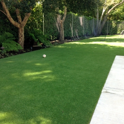 Synthetic Grass Romoland, California Artificial Turf For Dogs