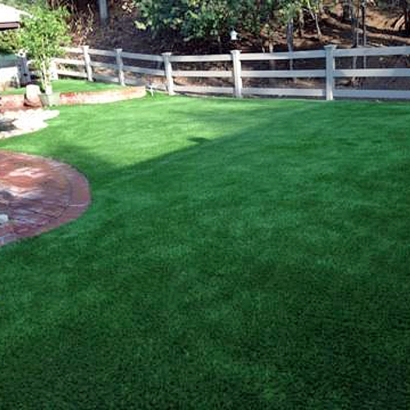 Synthetic Lawn Aguanga, California Landscaping, Backyard Makeover