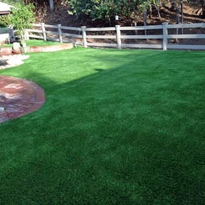 Synthetic Lawn Aguanga, California Landscaping, Backyard Makeover