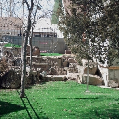 Synthetic Lawn Cathedral City, California Backyard Deck Ideas, Backyard Designs