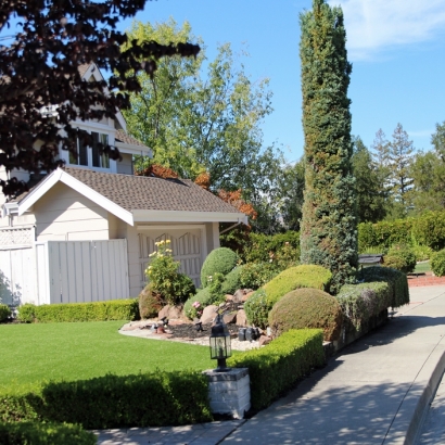 Synthetic Lawn Hemet, California Lawn And Garden, Front Yard Design