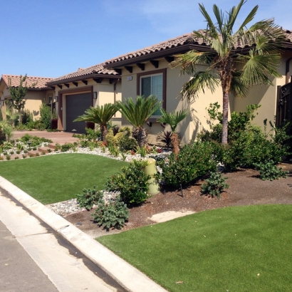 Synthetic Lawn Idyllwild-Pine Cove, California Landscape Photos, Front Yard