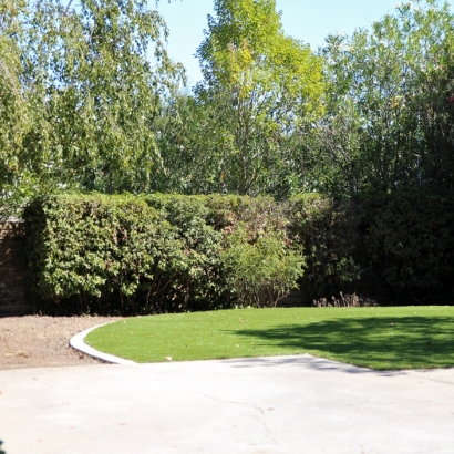 Synthetic Lawn Lake Elsinore, California Landscaping, Backyard Landscape Ideas