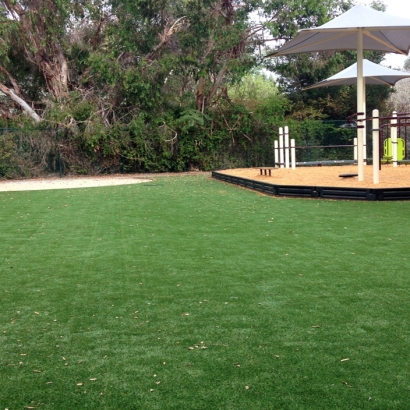 Synthetic Lawn March Air Force Base, California Playground Turf