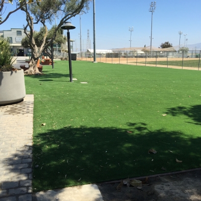 Synthetic Lawn Mecca, California Landscape Photos, Recreational Areas